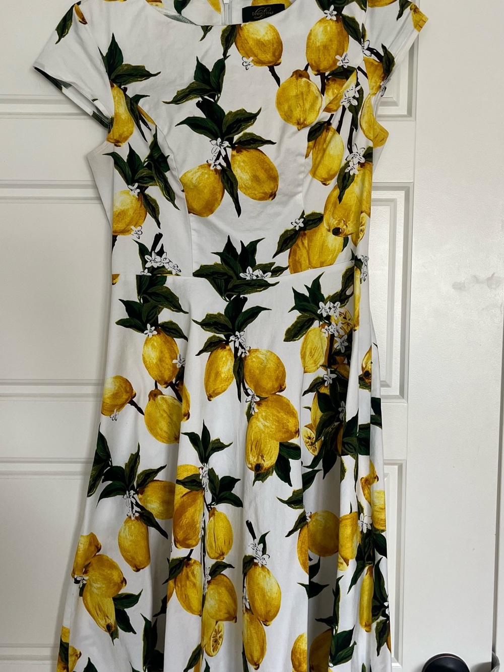 Retro Style Lemon Print Fit & Flare Dress
